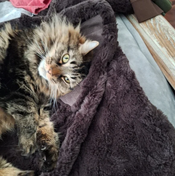 LIVE/SHARE SHOW - Picture 7 of 16